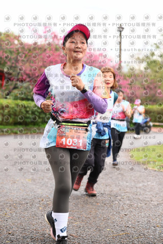 2026左岸竹東櫻花馬拉松Zhudong Sakura Marathon