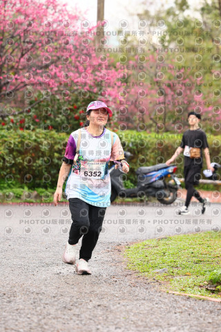 2026左岸竹東櫻花馬拉松Zhudong Sakura Marathon