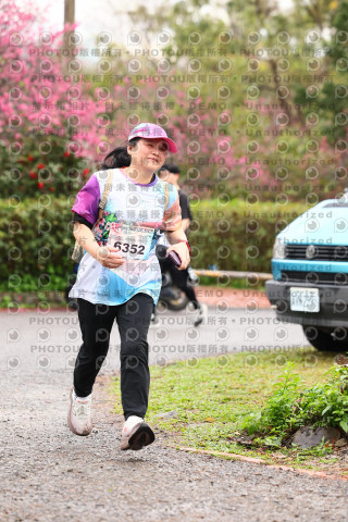 2026左岸竹東櫻花馬拉松Zhudong Sakura Marathon