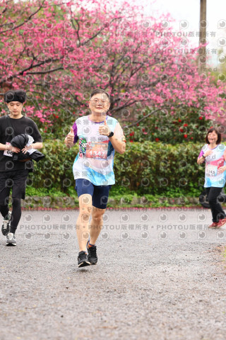 2026左岸竹東櫻花馬拉松Zhudong Sakura Marathon