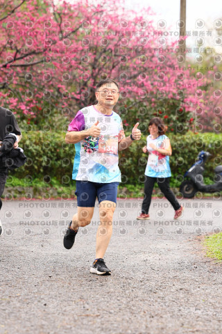 2026左岸竹東櫻花馬拉松Zhudong Sakura Marathon