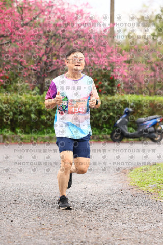 2026左岸竹東櫻花馬拉松Zhudong Sakura Marathon