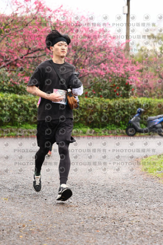 2026左岸竹東櫻花馬拉松Zhudong Sakura Marathon