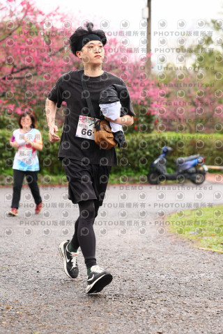 2026左岸竹東櫻花馬拉松Zhudong Sakura Marathon
