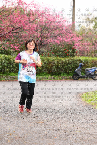 2026左岸竹東櫻花馬拉松Zhudong Sakura Marathon