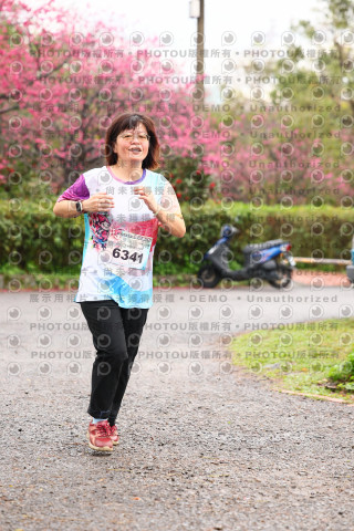 2026左岸竹東櫻花馬拉松Zhudong Sakura Marathon