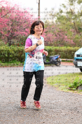 2026左岸竹東櫻花馬拉松Zhudong Sakura Marathon