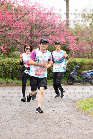 2026左岸竹東櫻花馬拉松Zhudong Sakura Marathon