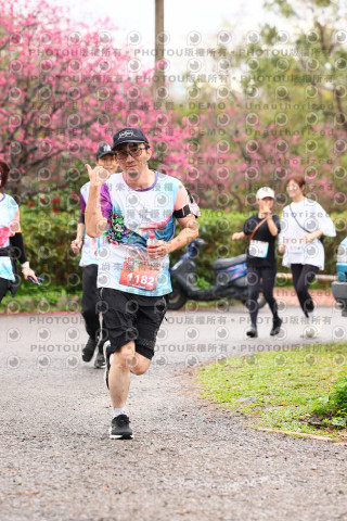 2026左岸竹東櫻花馬拉松Zhudong Sakura Marathon