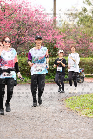 2026左岸竹東櫻花馬拉松Zhudong Sakura Marathon