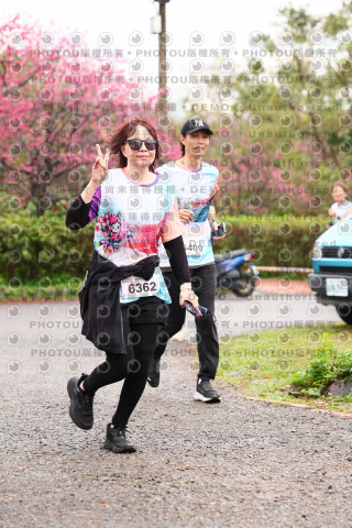 2026左岸竹東櫻花馬拉松Zhudong Sakura Marathon