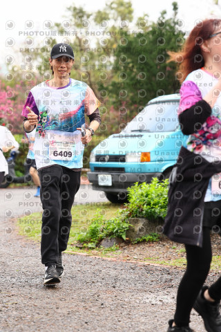 2026左岸竹東櫻花馬拉松Zhudong Sakura Marathon