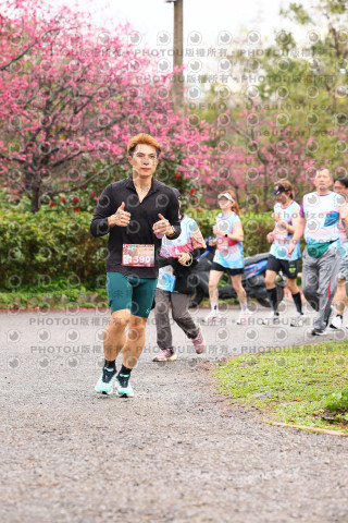 2026左岸竹東櫻花馬拉松Zhudong Sakura Marathon