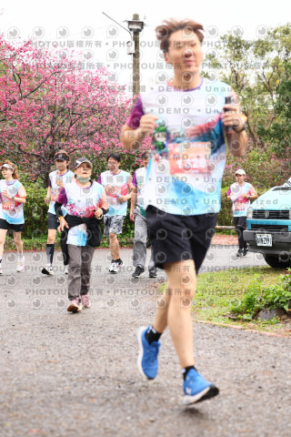 2026左岸竹東櫻花馬拉松Zhudong Sakura Marathon