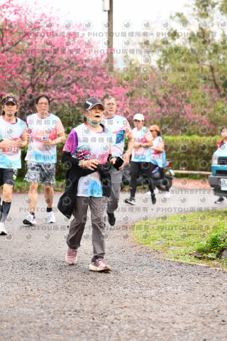 2026左岸竹東櫻花馬拉松Zhudong Sakura Marathon