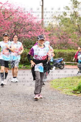 2026左岸竹東櫻花馬拉松Zhudong Sakura Marathon