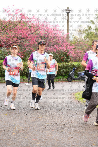 2026左岸竹東櫻花馬拉松Zhudong Sakura Marathon
