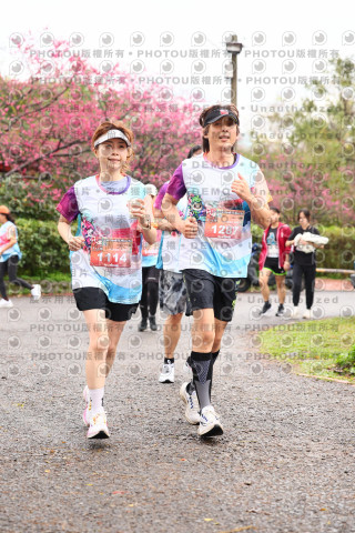 2026左岸竹東櫻花馬拉松Zhudong Sakura Marathon
