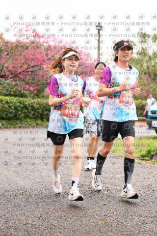 2026左岸竹東櫻花馬拉松Zhudong Sakura Marathon