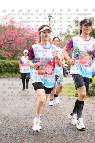 2026左岸竹東櫻花馬拉松Zhudong Sakura Marathon