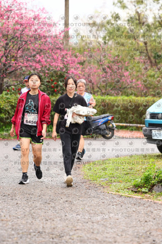 2026左岸竹東櫻花馬拉松Zhudong Sakura Marathon