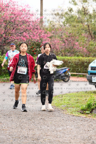 2026左岸竹東櫻花馬拉松Zhudong Sakura Marathon