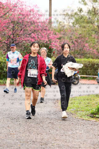 2026左岸竹東櫻花馬拉松Zhudong Sakura Marathon