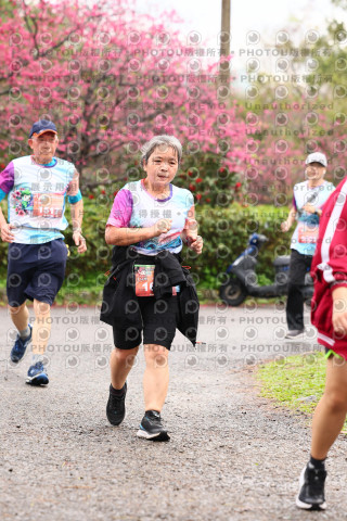 2026左岸竹東櫻花馬拉松Zhudong Sakura Marathon
