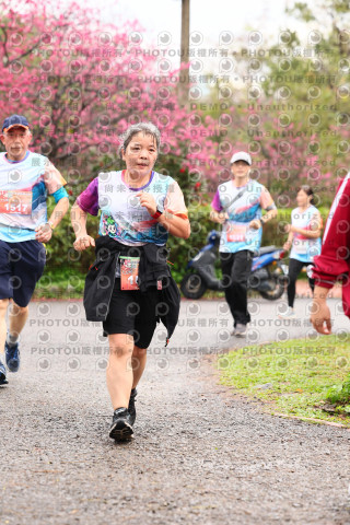2026左岸竹東櫻花馬拉松Zhudong Sakura Marathon