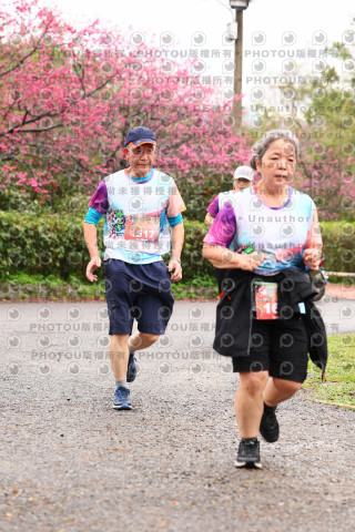 2026左岸竹東櫻花馬拉松Zhudong Sakura Marathon