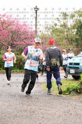 2026左岸竹東櫻花馬拉松Zhudong Sakura Marathon
