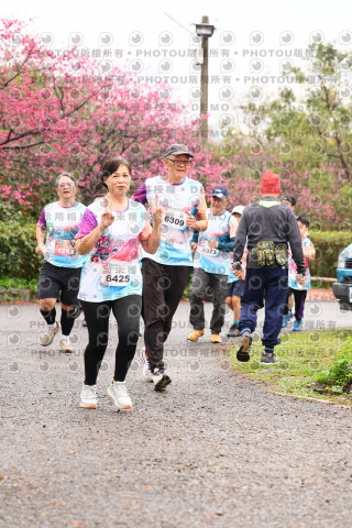 2026左岸竹東櫻花馬拉松Zhudong Sakura Marathon