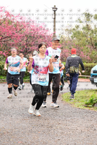 2026左岸竹東櫻花馬拉松Zhudong Sakura Marathon