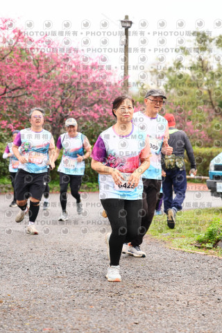 2026左岸竹東櫻花馬拉松Zhudong Sakura Marathon
