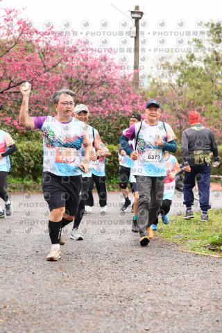 2026左岸竹東櫻花馬拉松Zhudong Sakura Marathon
