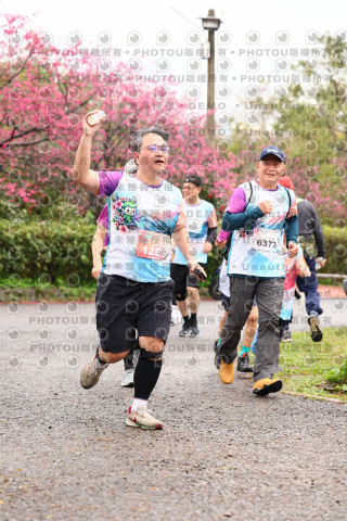 2026左岸竹東櫻花馬拉松Zhudong Sakura Marathon