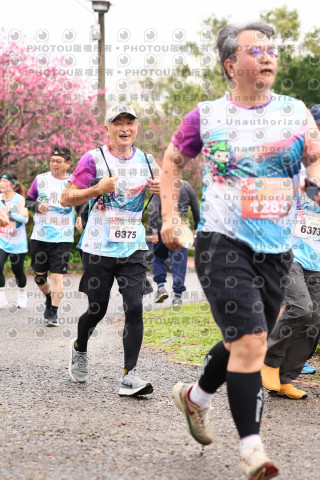 2026左岸竹東櫻花馬拉松Zhudong Sakura Marathon