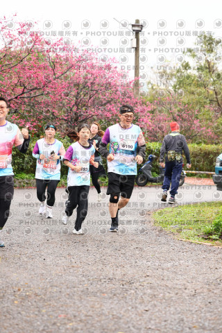 2026左岸竹東櫻花馬拉松Zhudong Sakura Marathon