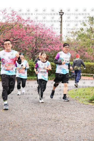 2026左岸竹東櫻花馬拉松Zhudong Sakura Marathon