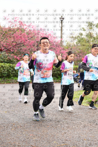 2026左岸竹東櫻花馬拉松Zhudong Sakura Marathon