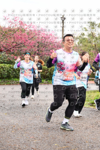 2026左岸竹東櫻花馬拉松Zhudong Sakura Marathon