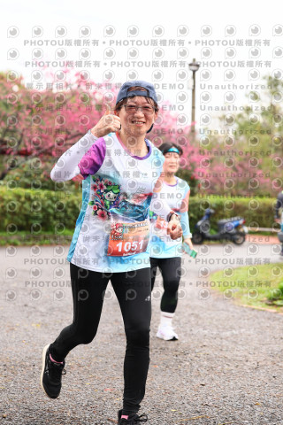 2026左岸竹東櫻花馬拉松Zhudong Sakura Marathon