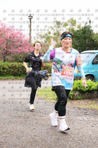 2026左岸竹東櫻花馬拉松Zhudong Sakura Marathon