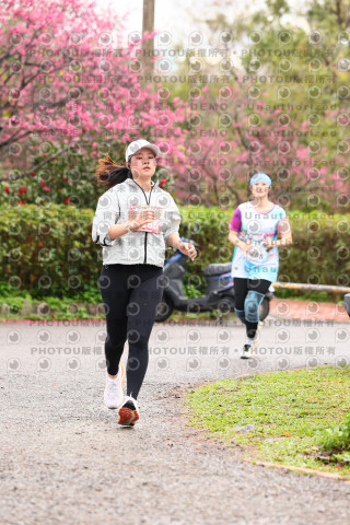 2026左岸竹東櫻花馬拉松Zhudong Sakura Marathon