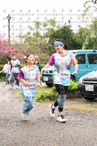 2026左岸竹東櫻花馬拉松Zhudong Sakura Marathon