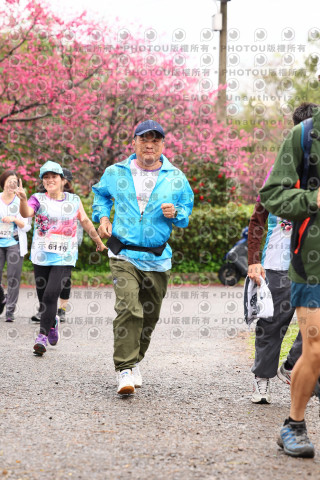 2026左岸竹東櫻花馬拉松Zhudong Sakura Marathon