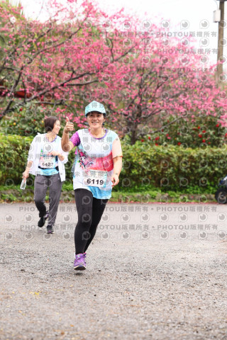 2026左岸竹東櫻花馬拉松Zhudong Sakura Marathon