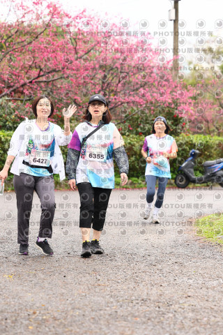 2026左岸竹東櫻花馬拉松Zhudong Sakura Marathon