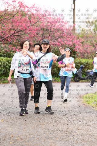 2026左岸竹東櫻花馬拉松Zhudong Sakura Marathon