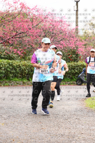 2026左岸竹東櫻花馬拉松Zhudong Sakura Marathon